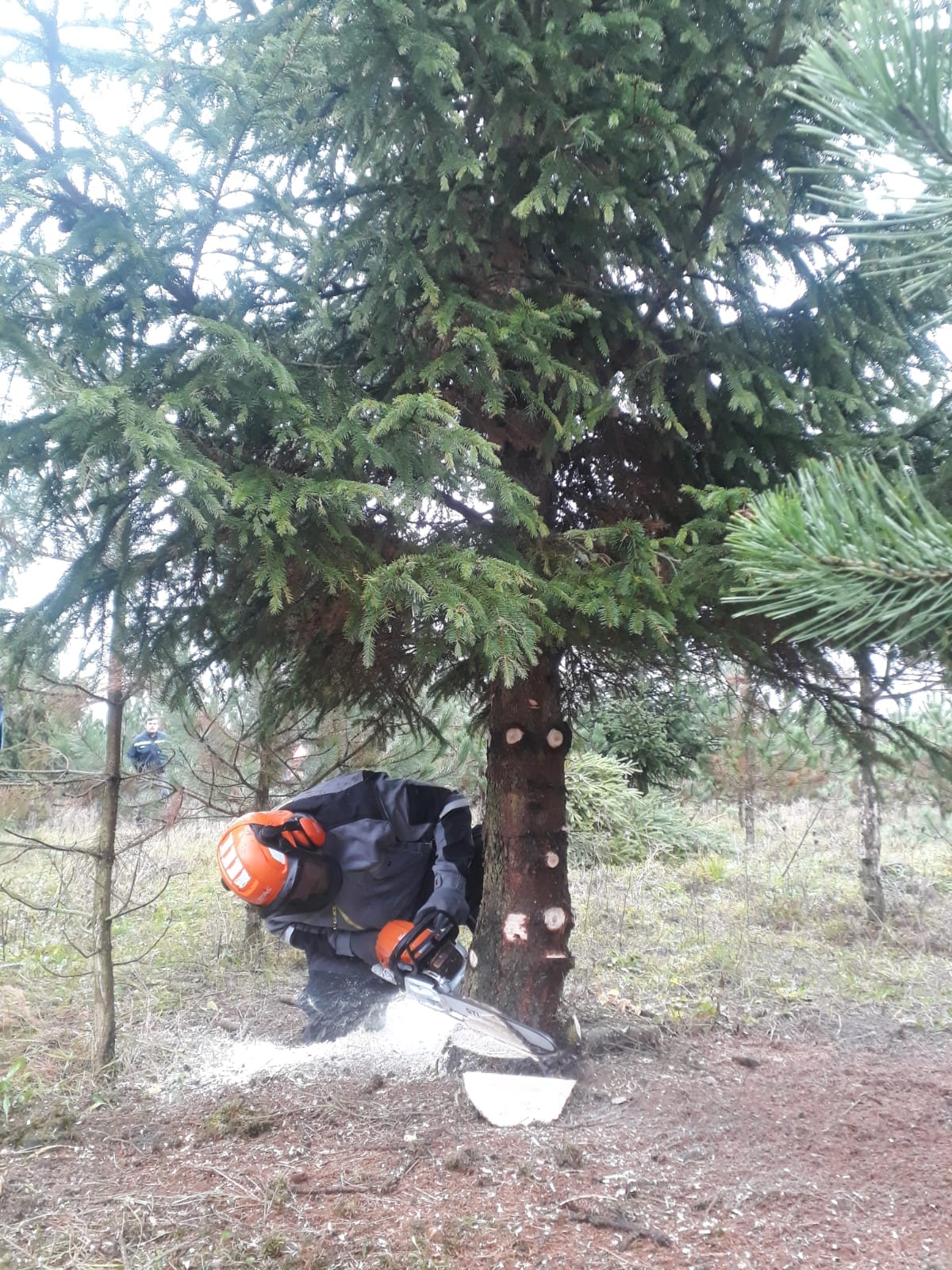 316685405_792576425173399_1737160254870081373_n