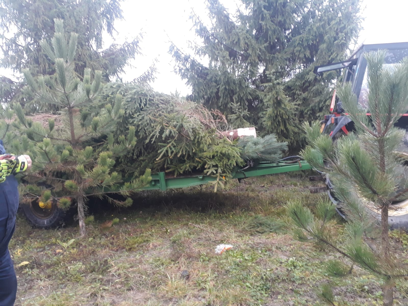 316811047_792576455173396_3154099447754191032_n