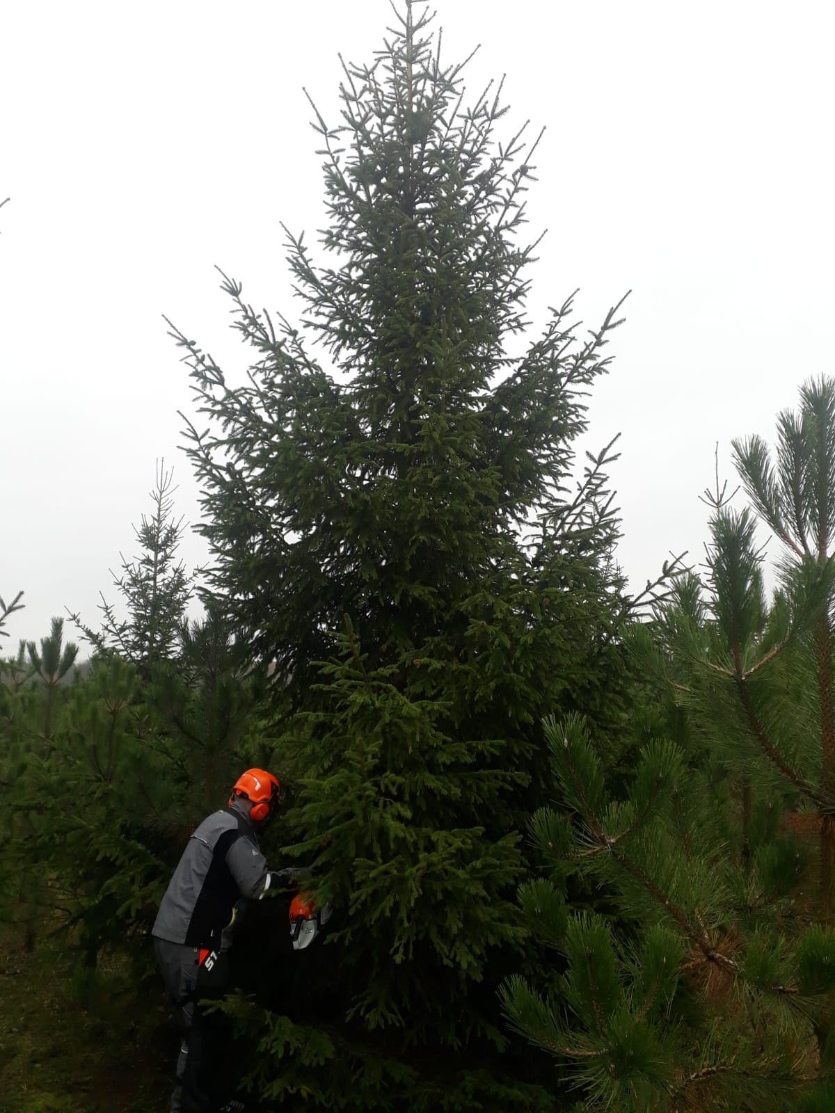 316822964_792576441840064_7438478747506784721_n