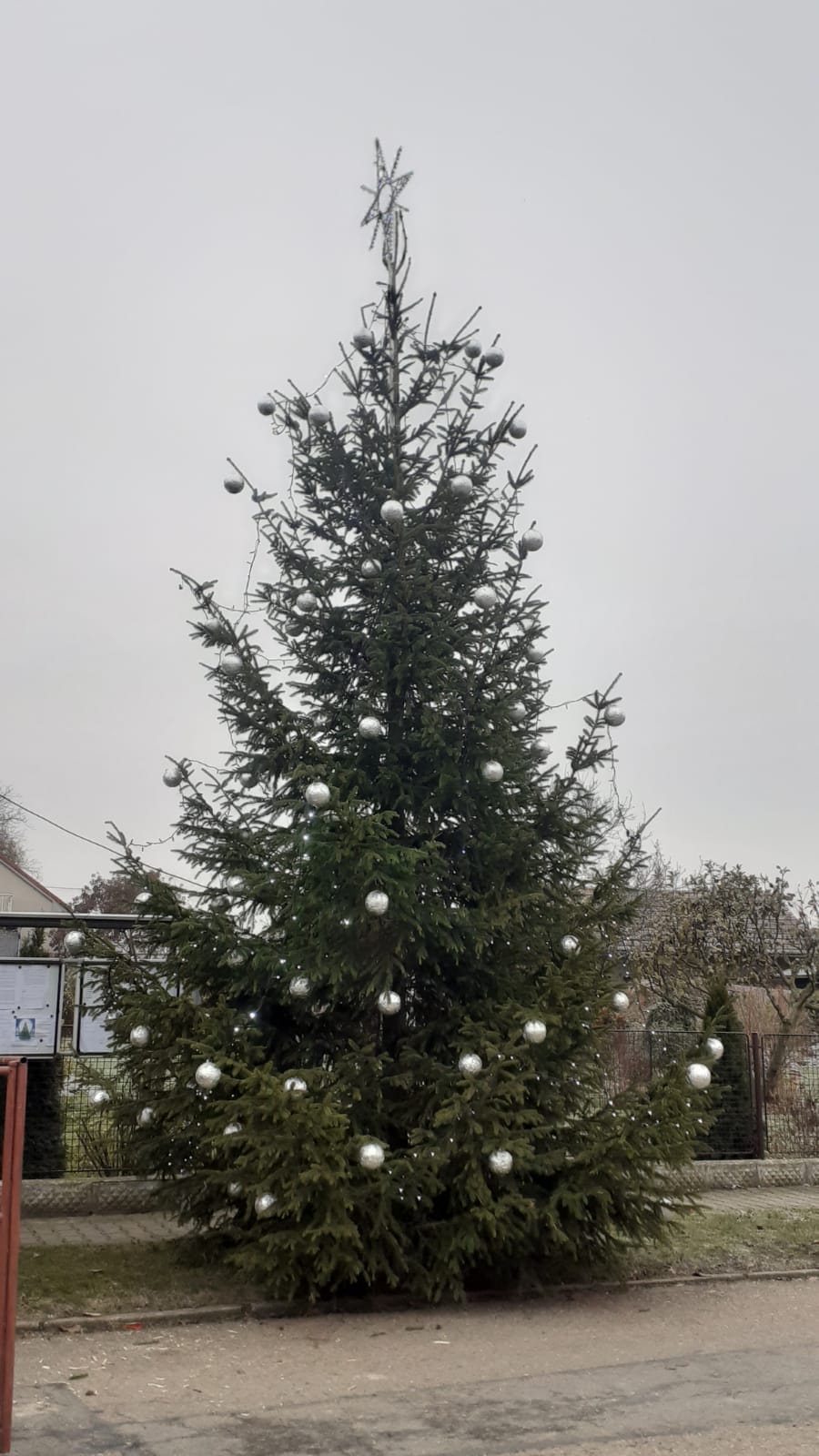 317256282_792576058506769_2347424737953001056_n