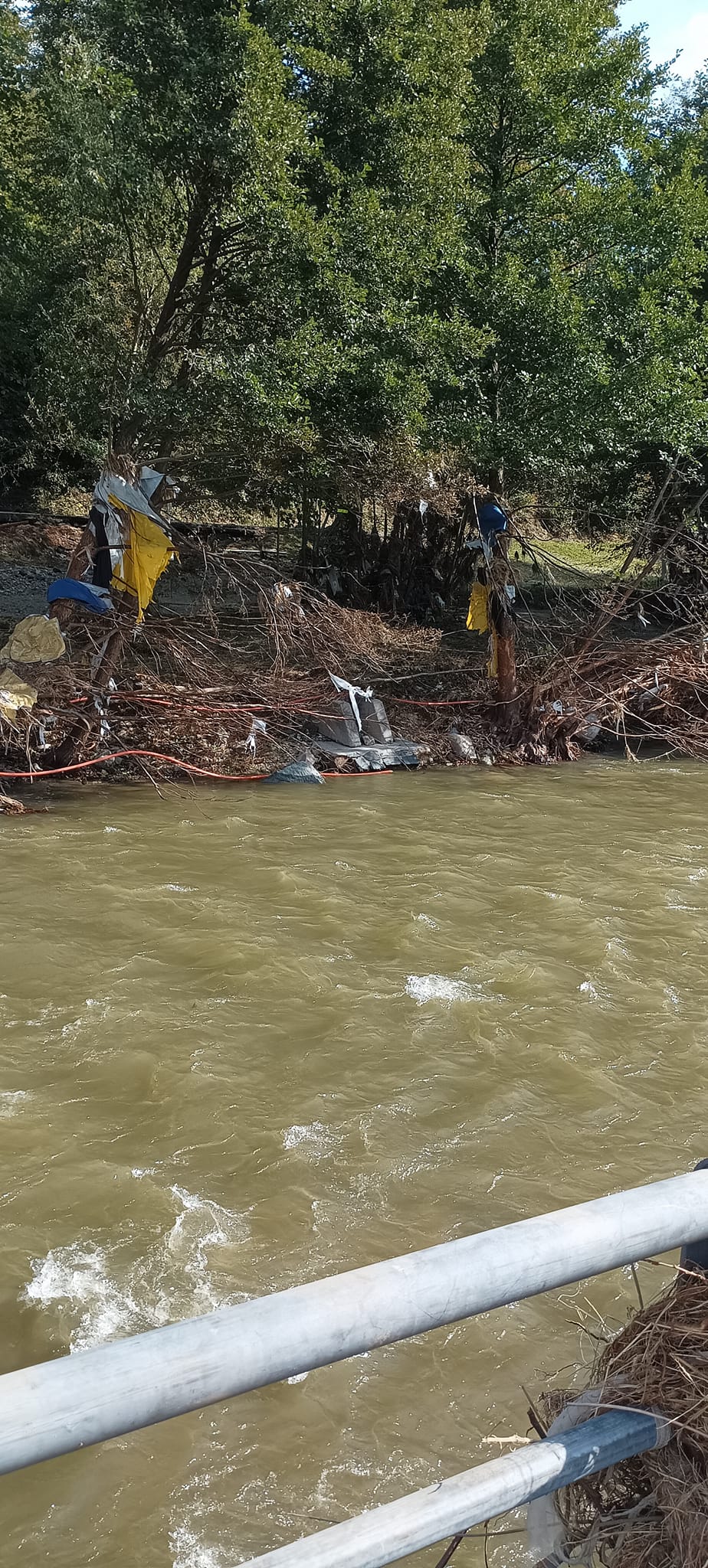 461165634_8257901857610236_2503677469521051668_n